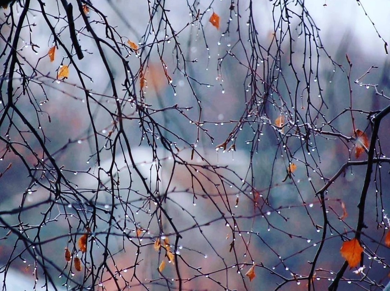 Иллюстрация к публикации