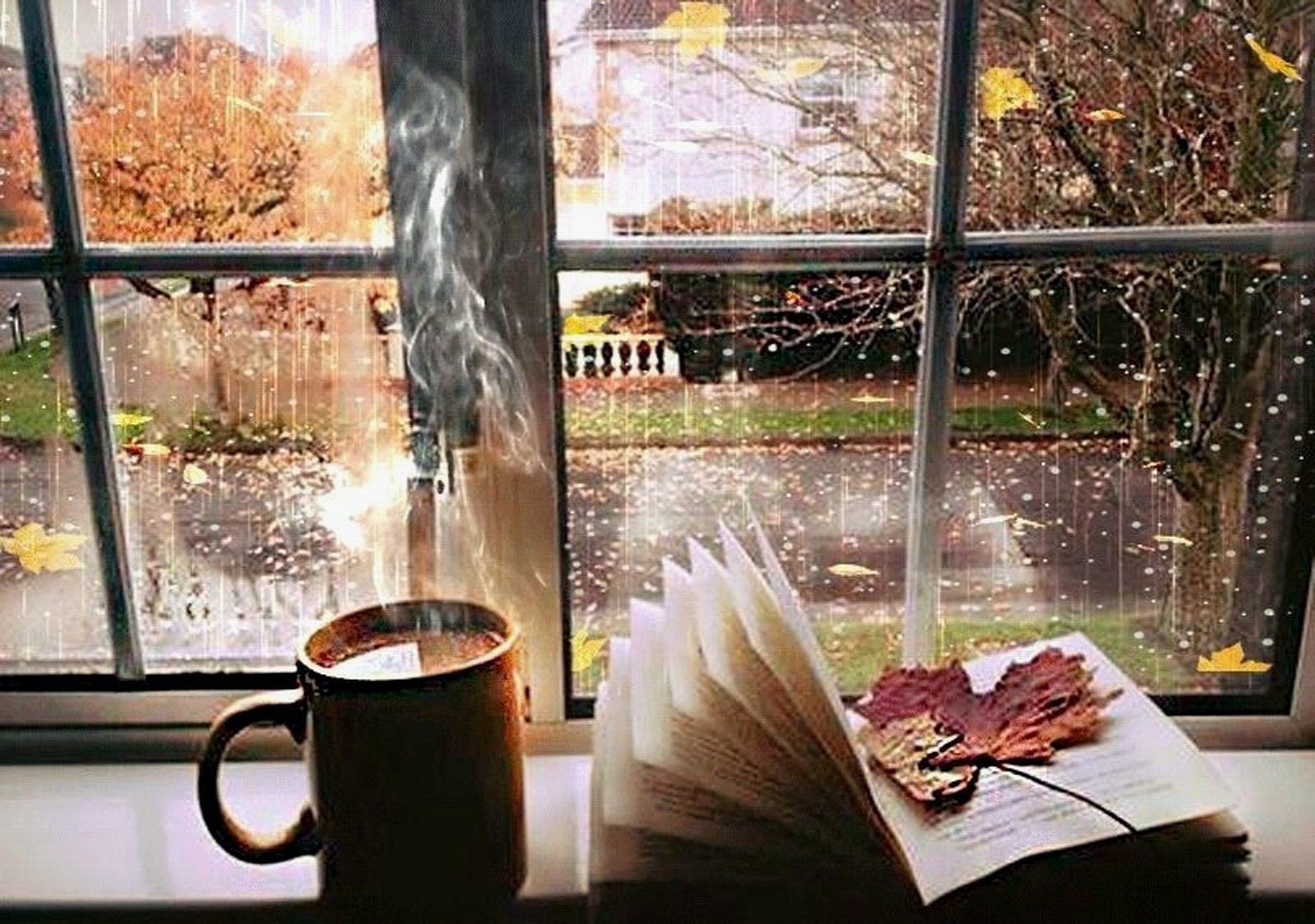 Иллюстрация к публикации