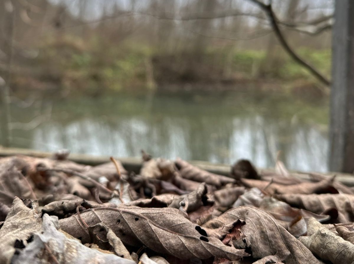 Иллюстрация к публикации