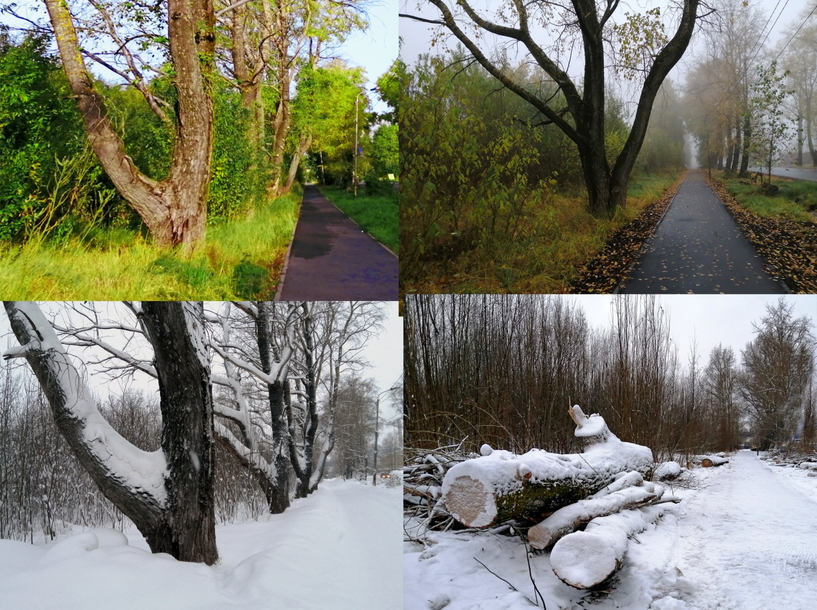 Иллюстрация к публикации