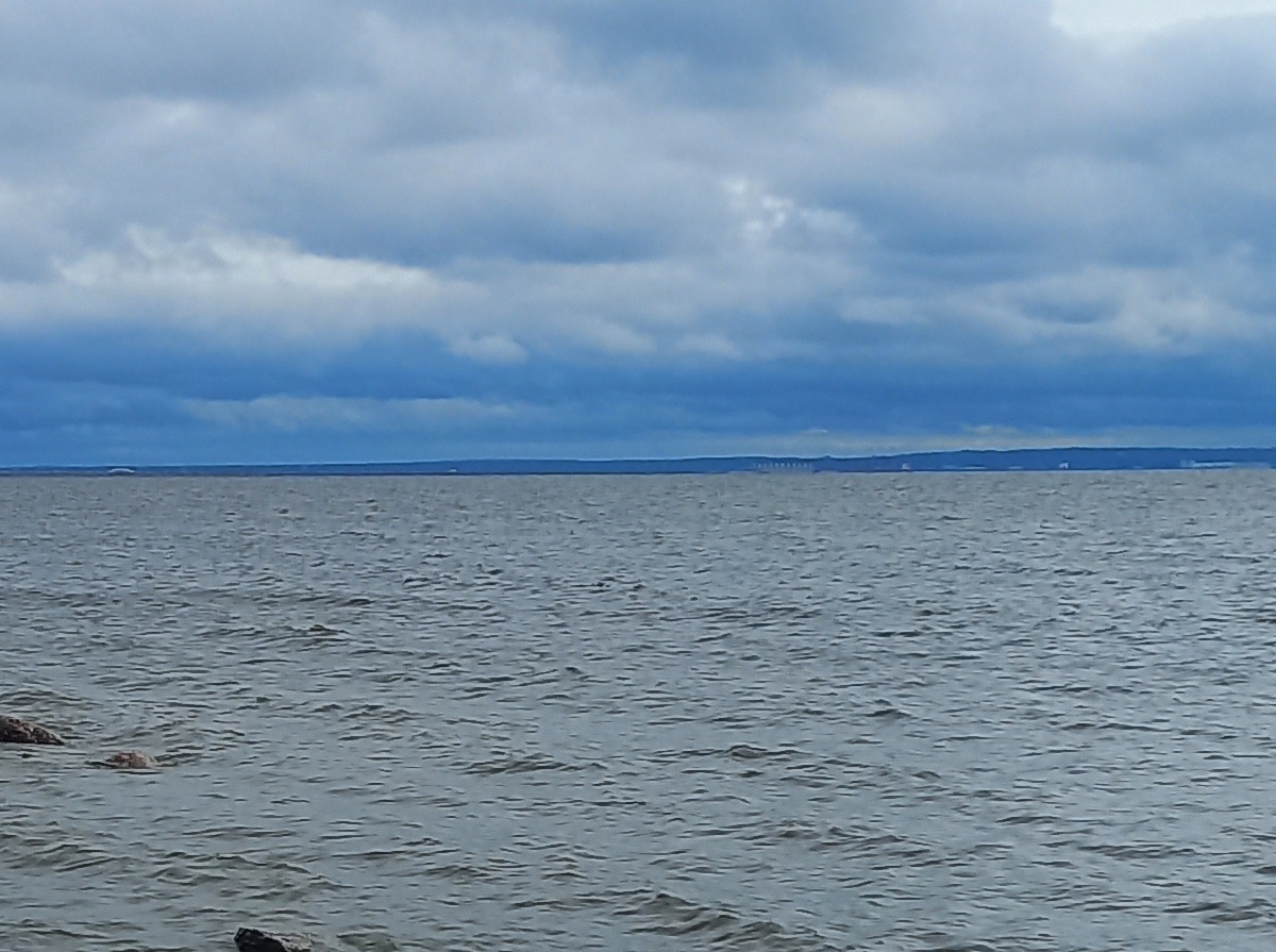 Иллюстрация к публикации