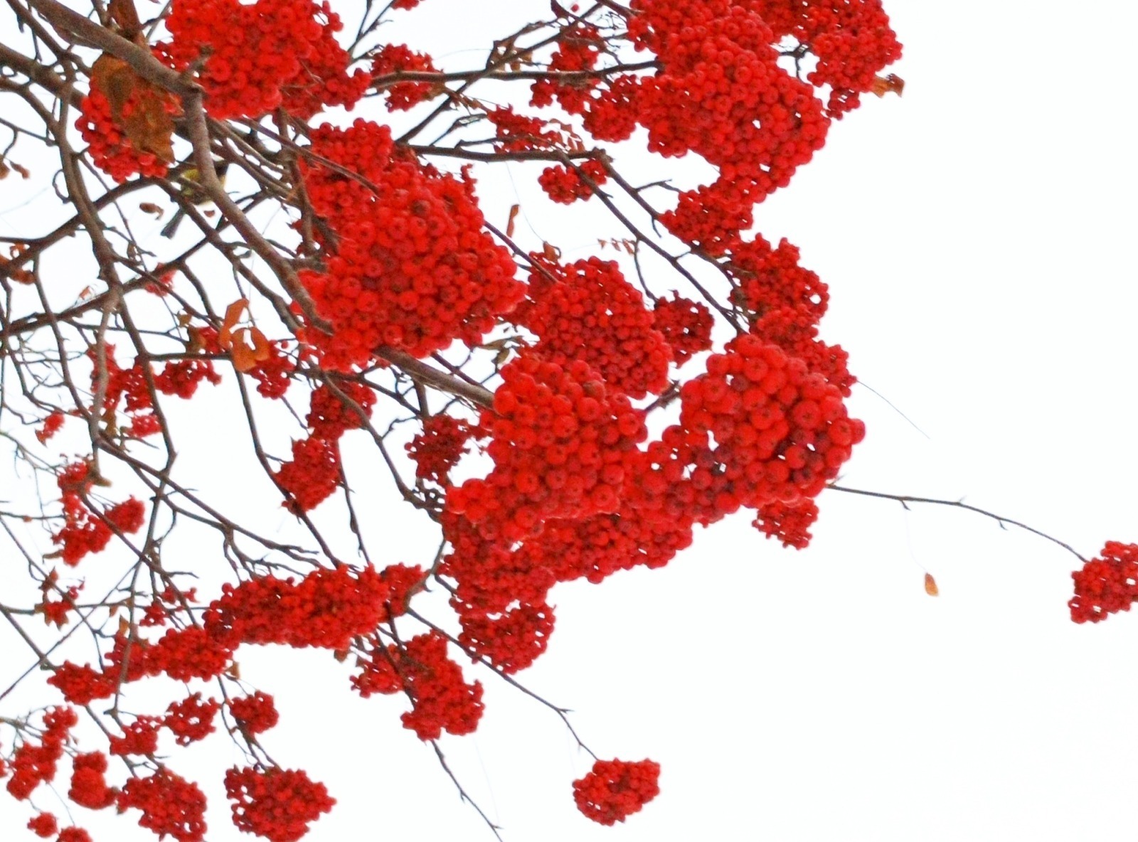 Иллюстрация к публикации