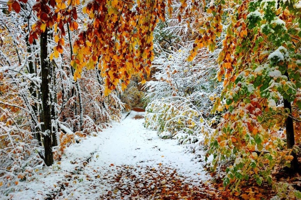 Иллюстрация к публикации