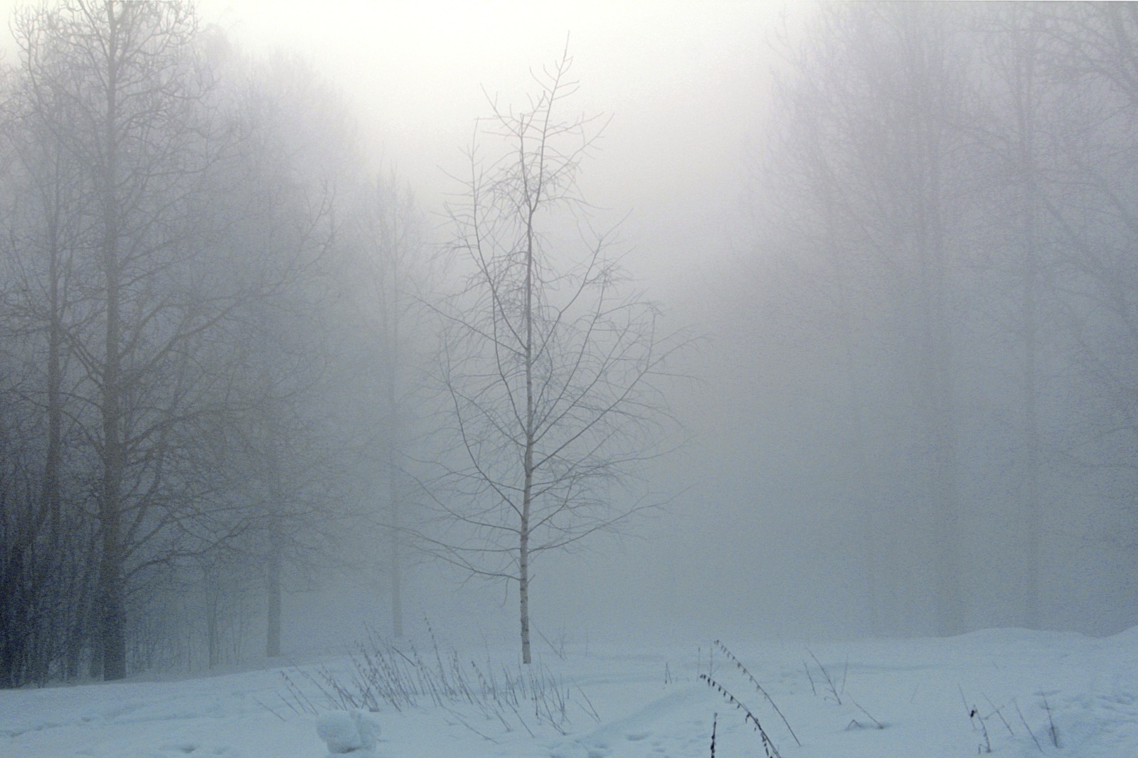 Иллюстрация к публикации