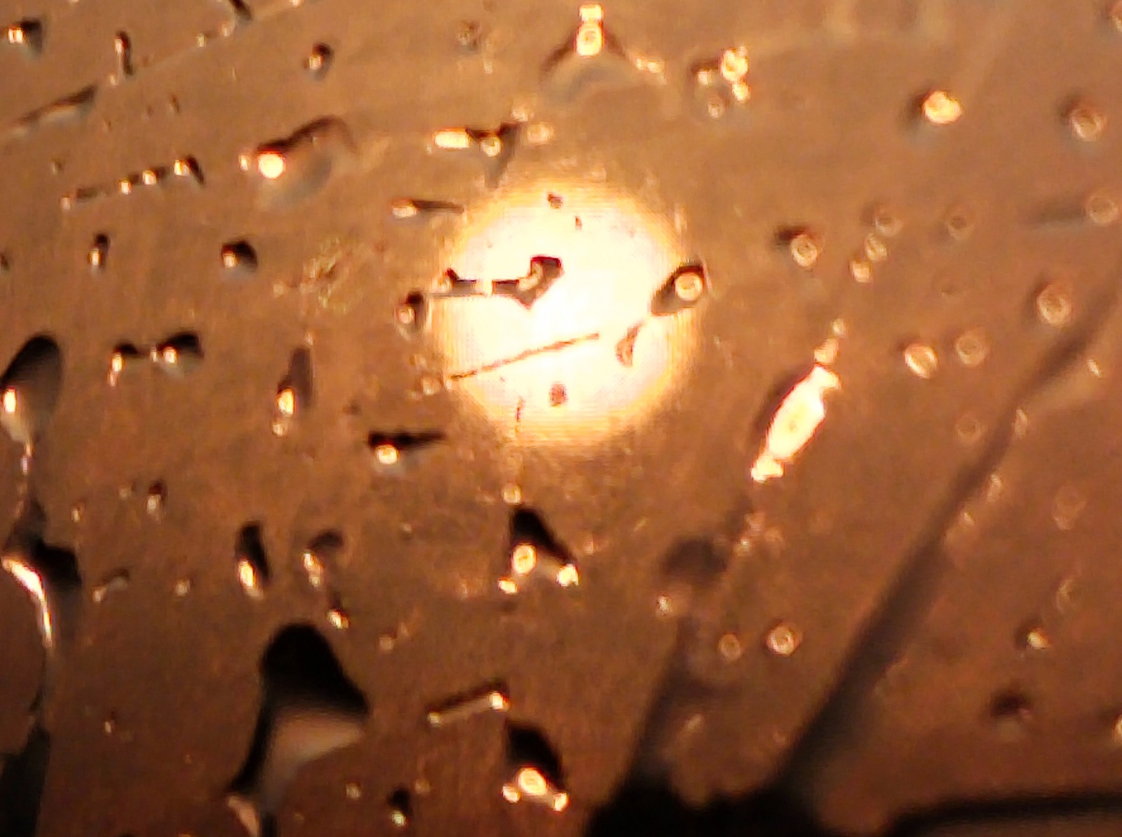 Иллюстрация к публикации