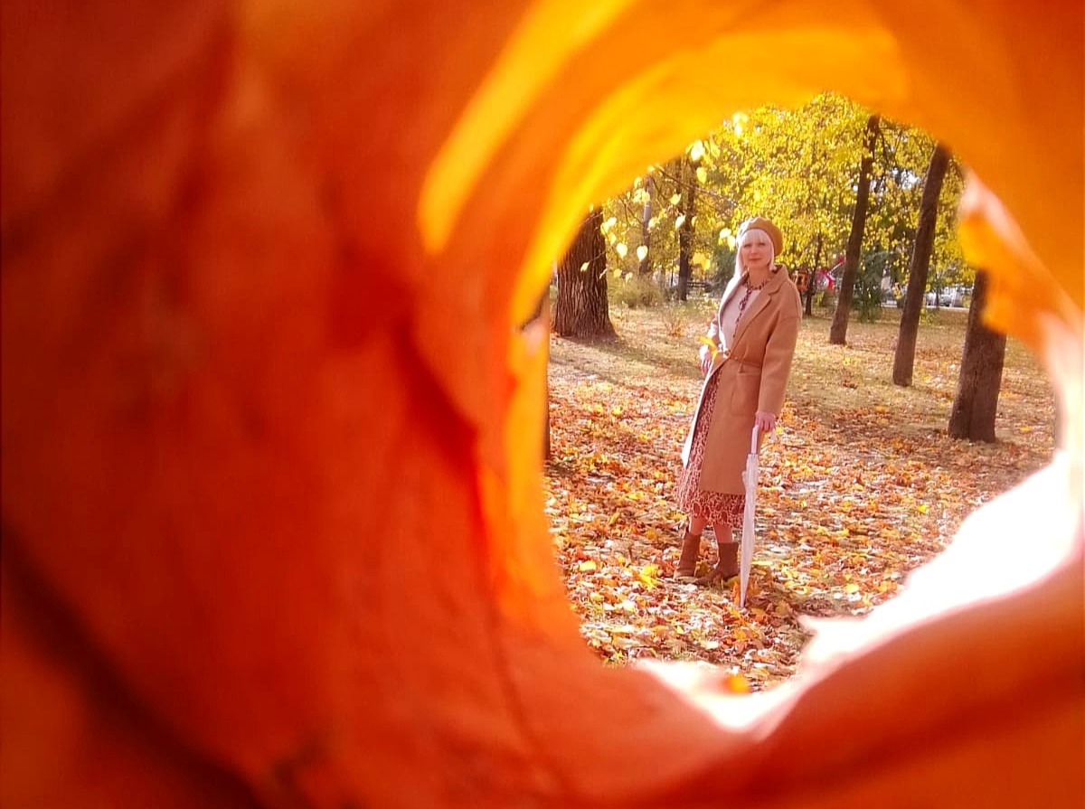 Иллюстрация к публикации