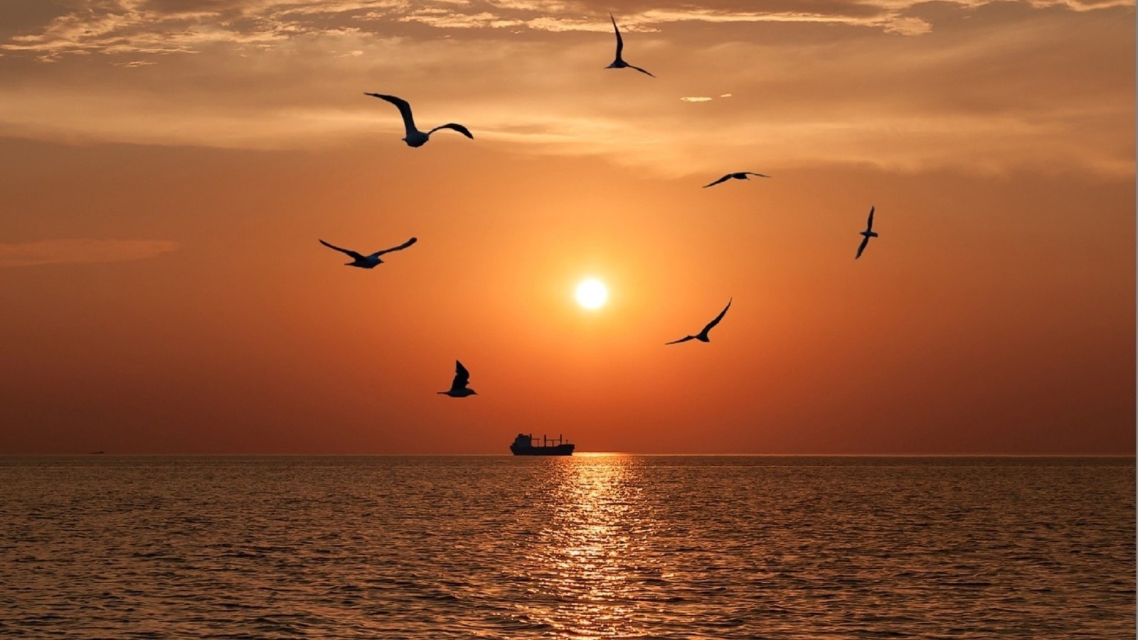 Иллюстрация к публикации