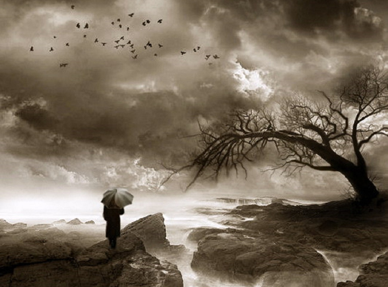 Иллюстрация к публикации