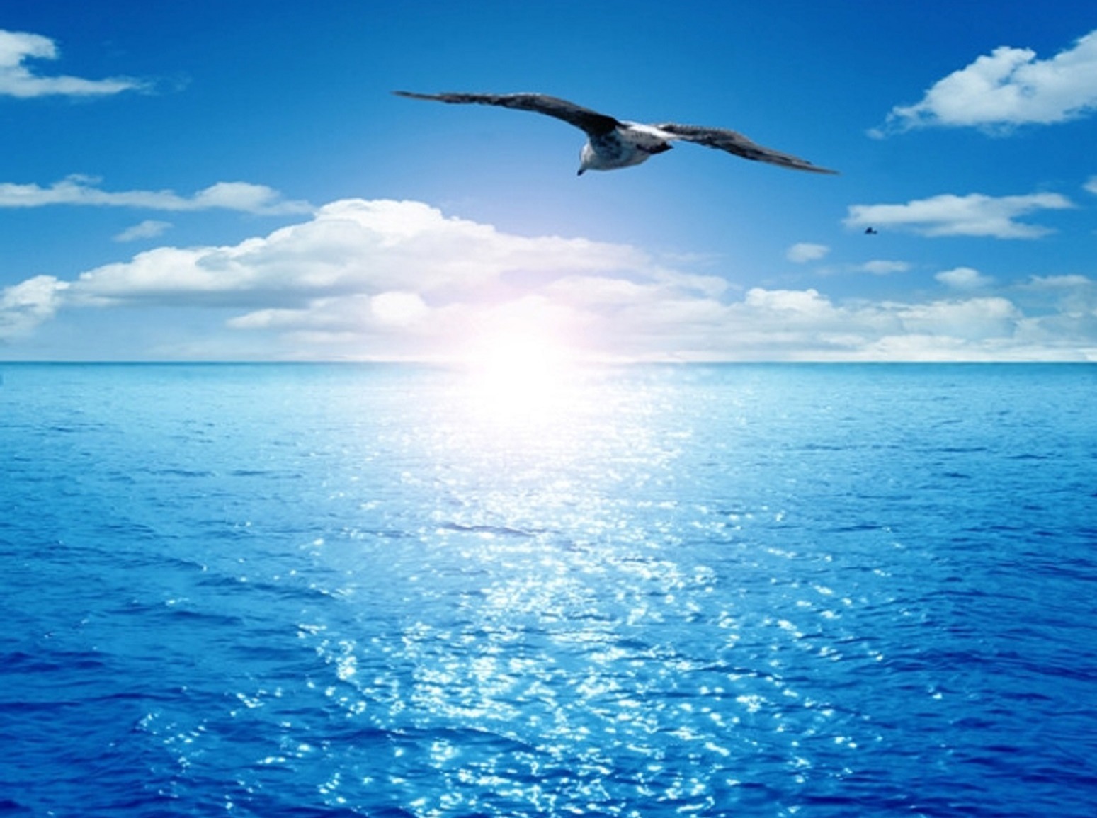 Иллюстрация к публикации