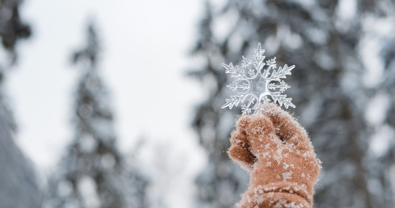 Иллюстрация к публикации