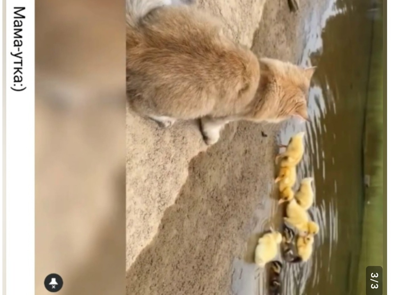 Иллюстрация к публикации