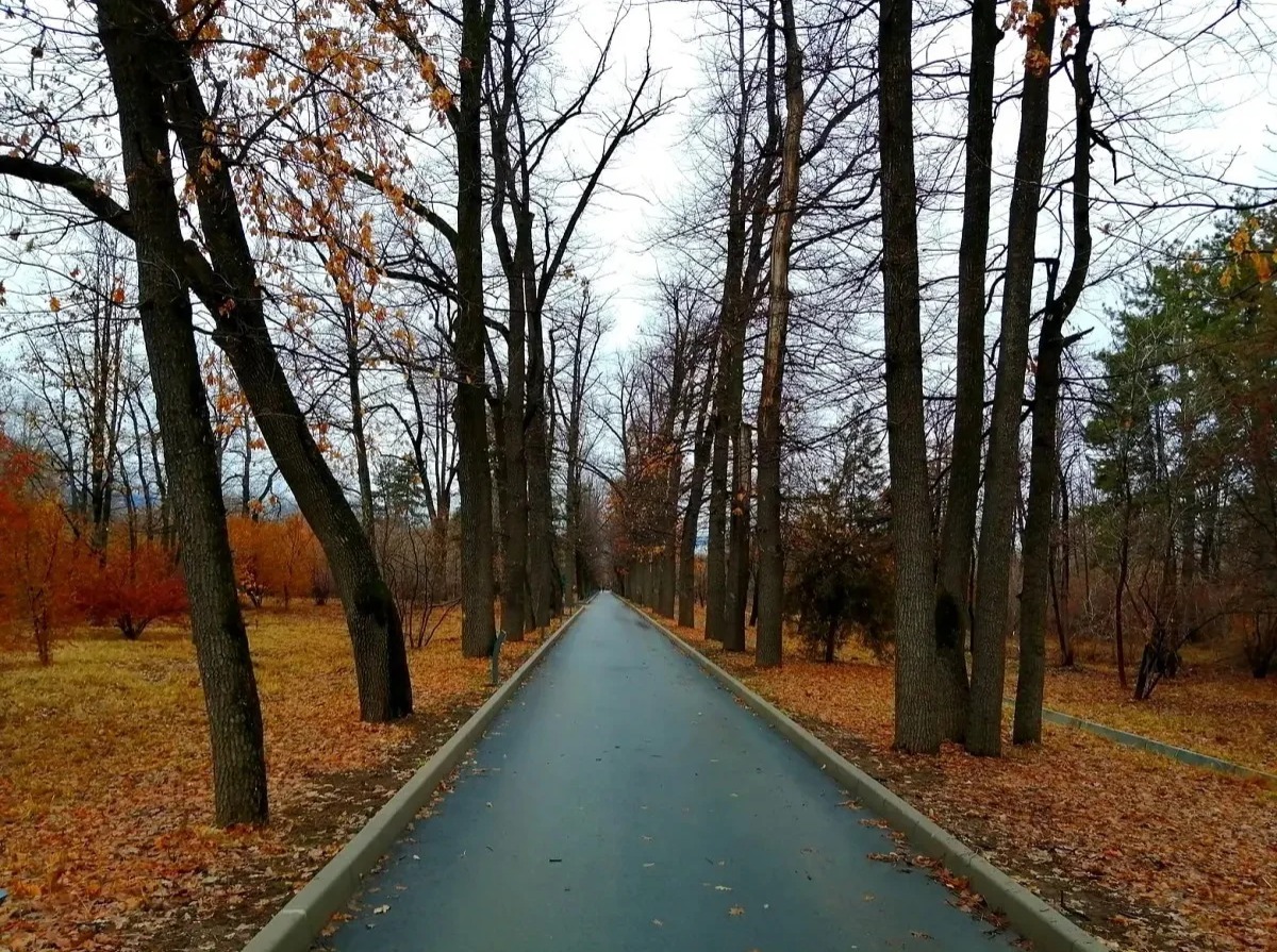 Иллюстрация к публикации