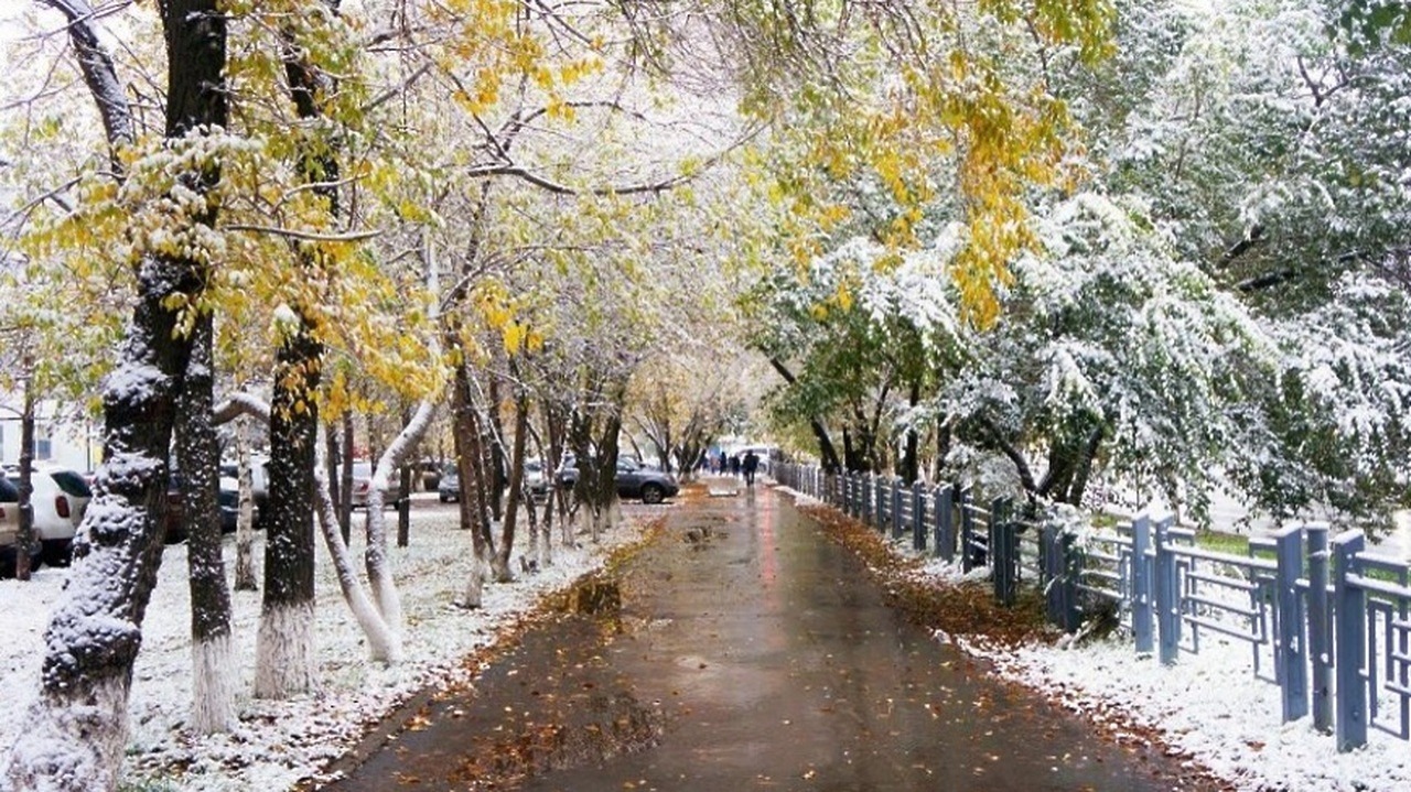 Иллюстрация к публикации