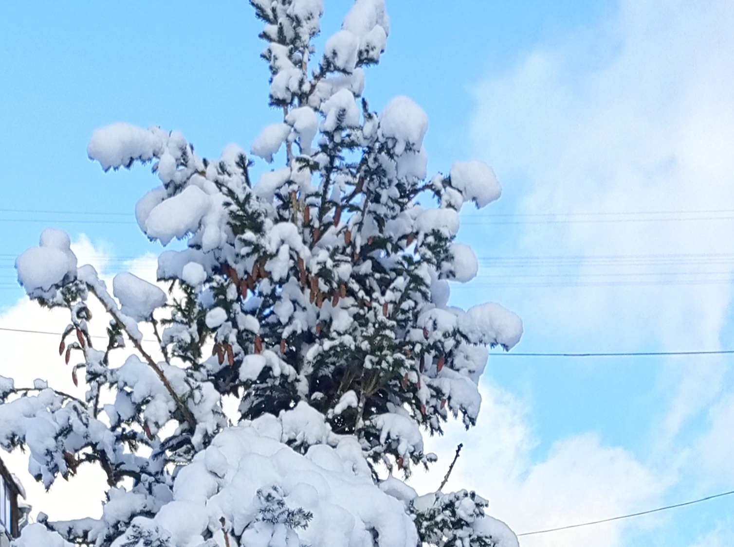 Иллюстрация к публикации