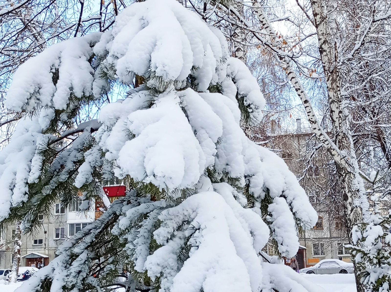 Иллюстрация к публикации