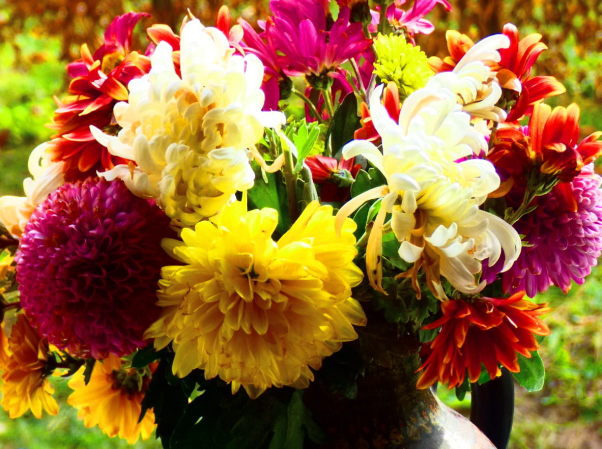 Иллюстрация к публикации