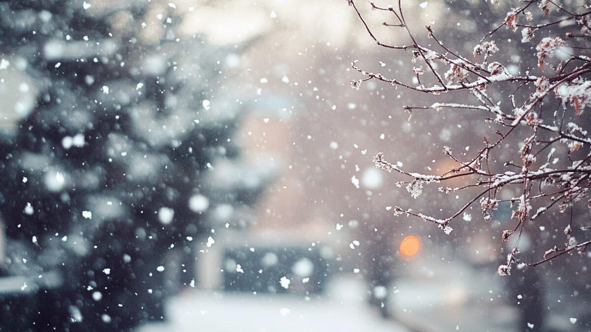 Иллюстрация к публикации