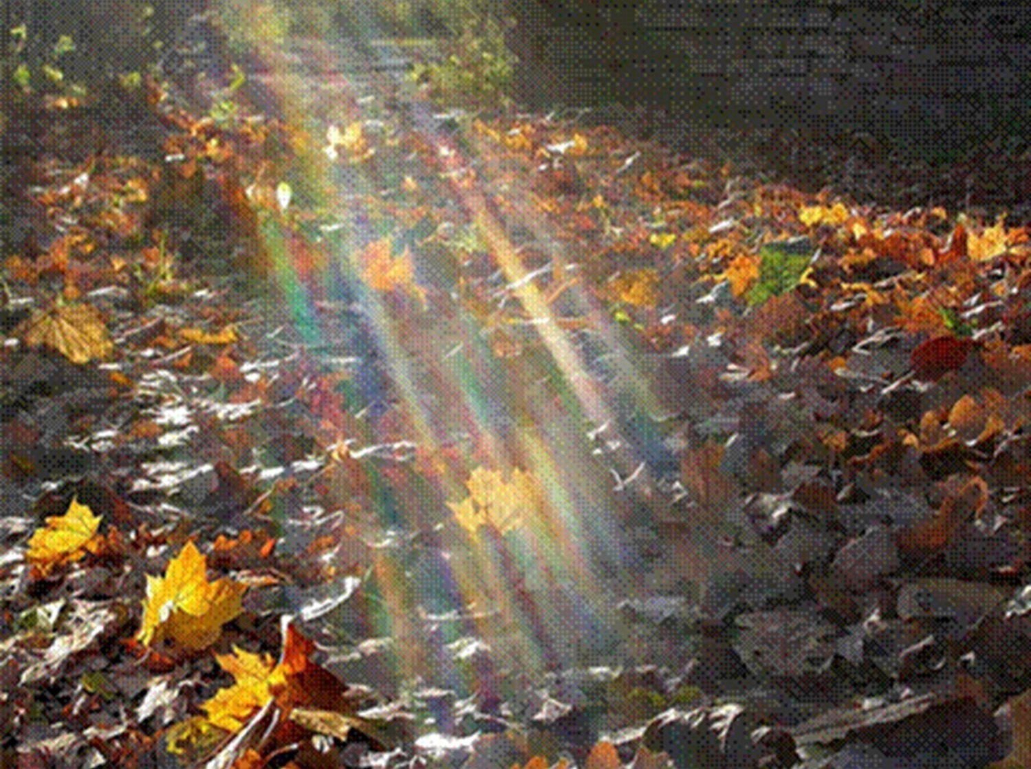 Иллюстрация к публикации