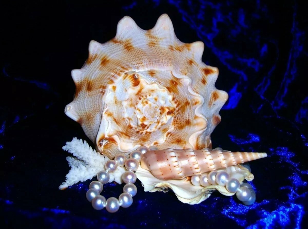 Иллюстрация к публикации