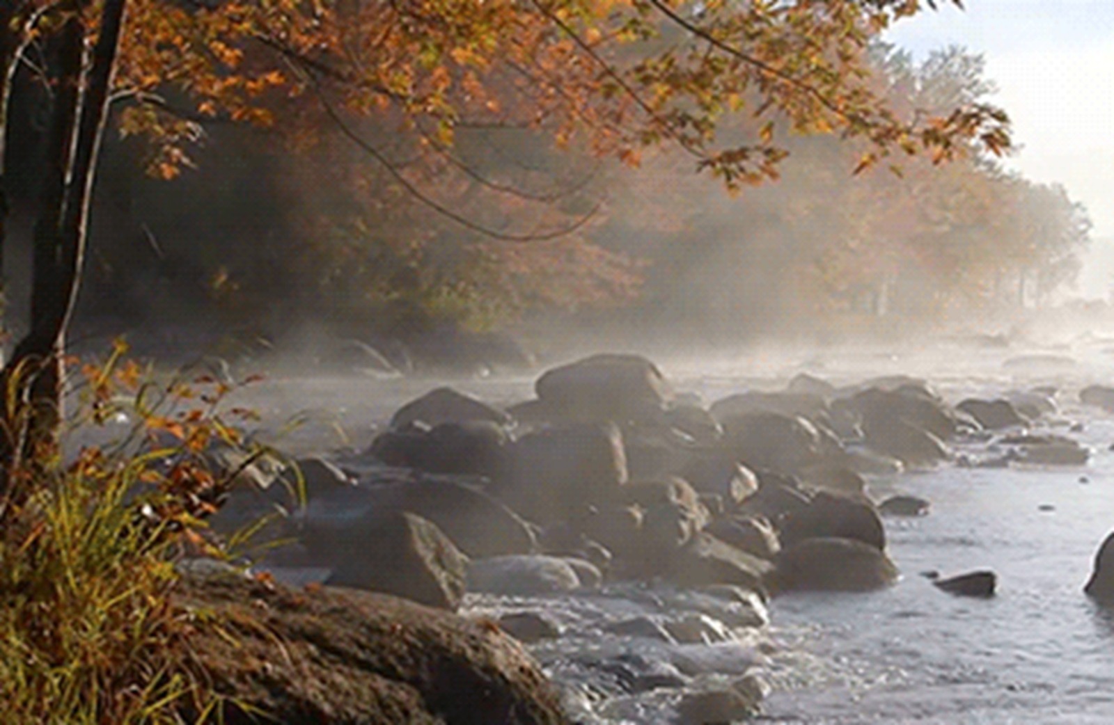 Иллюстрация к публикации