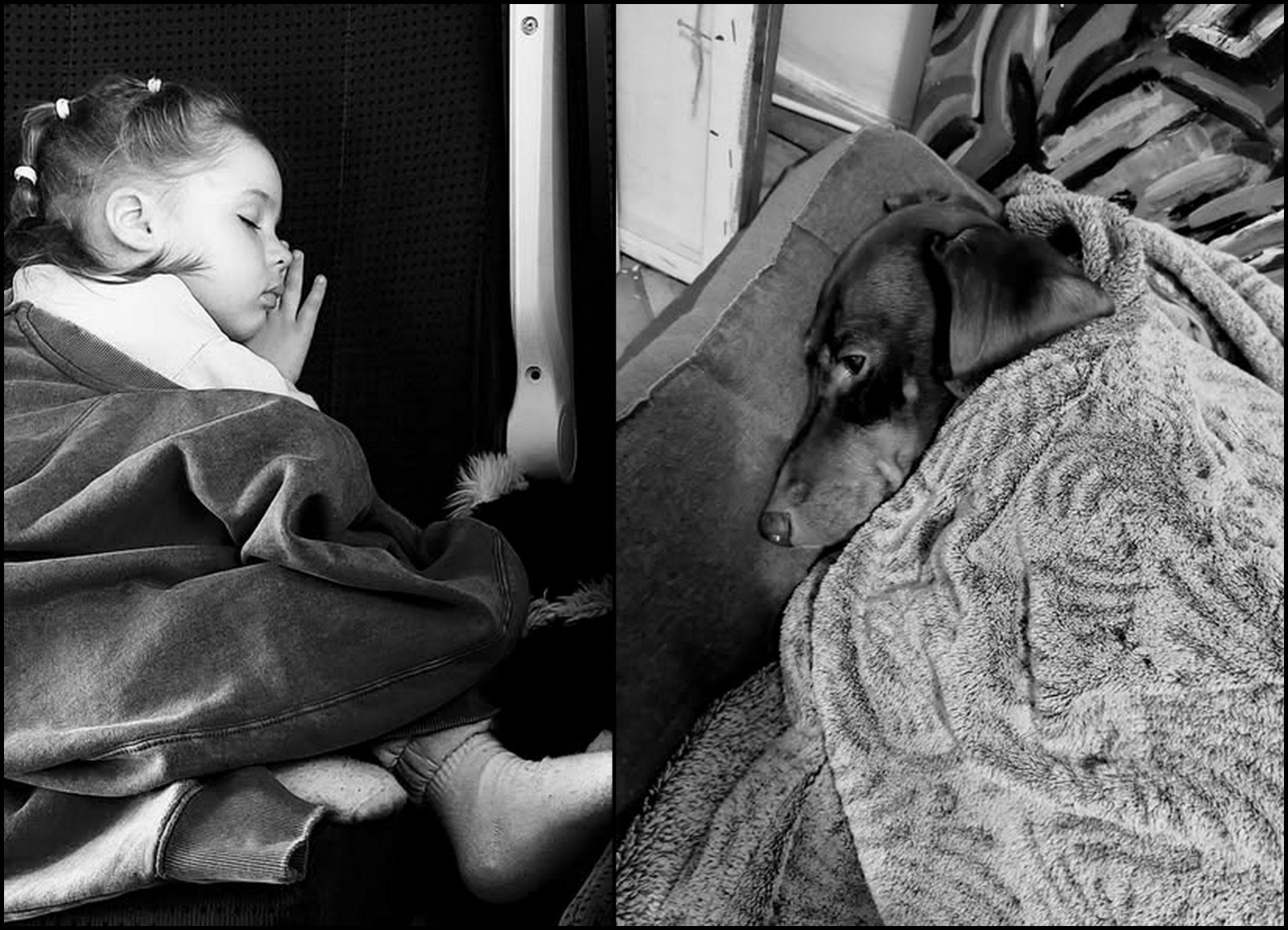 Иллюстрация к публикации