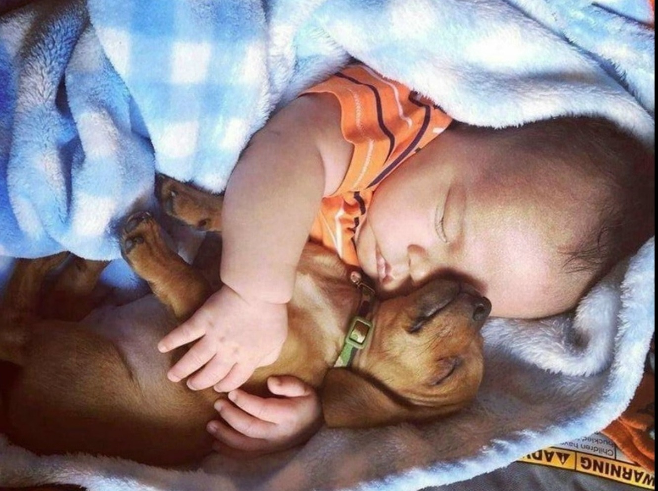 Иллюстрация к публикации