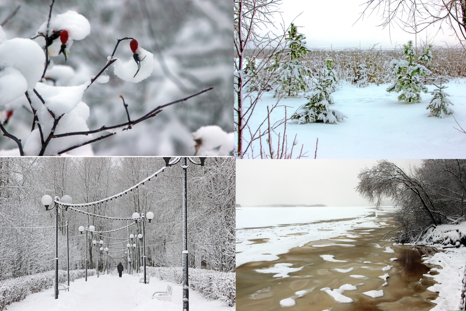 Иллюстрация к публикации