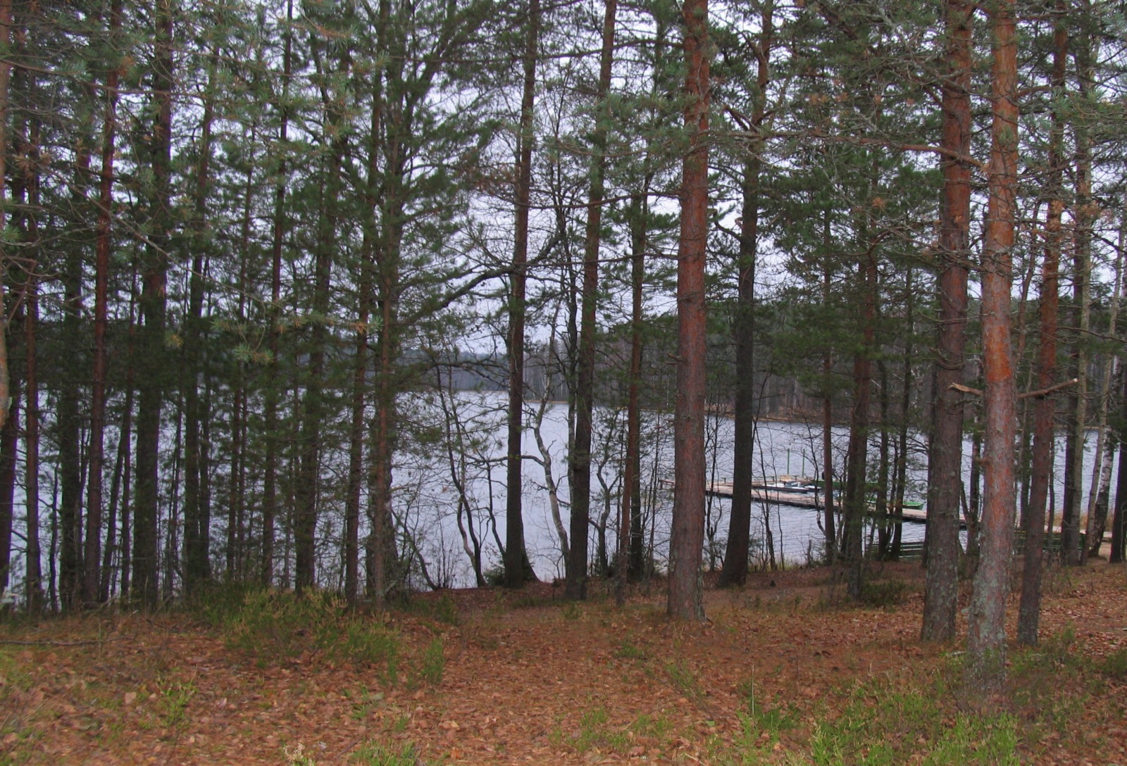 Иллюстрация к публикации