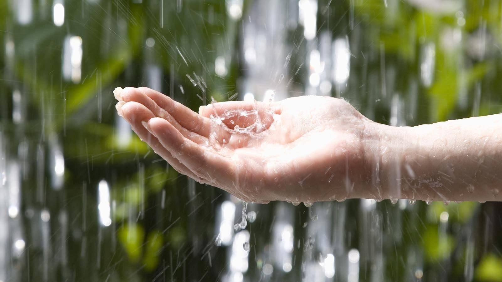 Иллюстрация к публикации