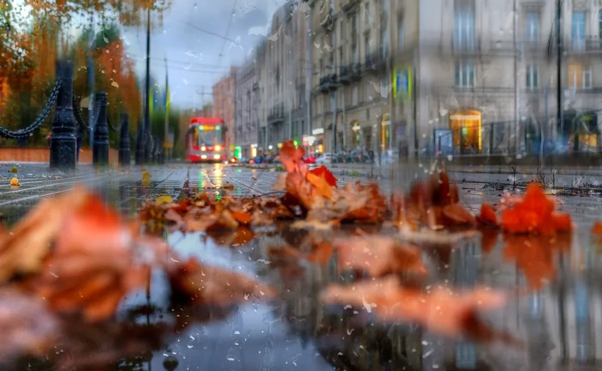 Иллюстрация к публикации