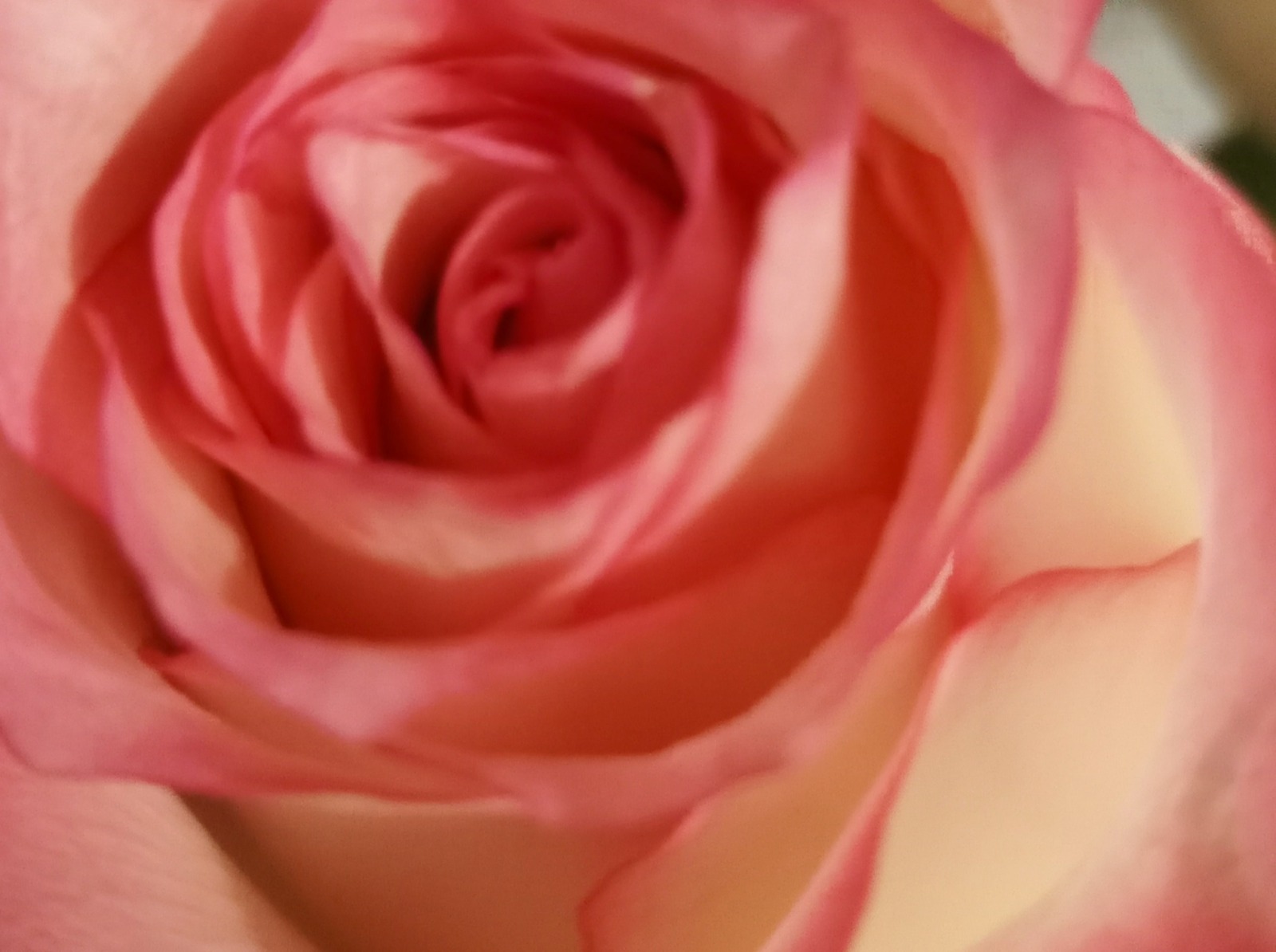 Иллюстрация к публикации