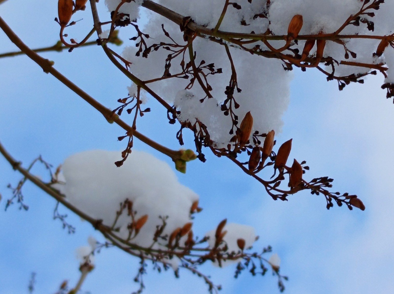 Иллюстрация к публикации
