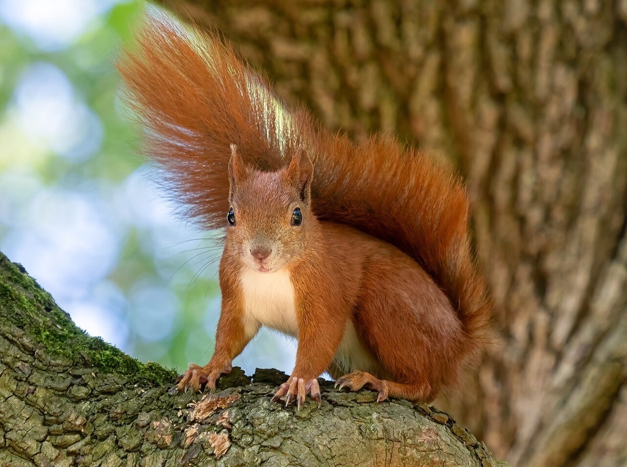 Иллюстрация к публикации