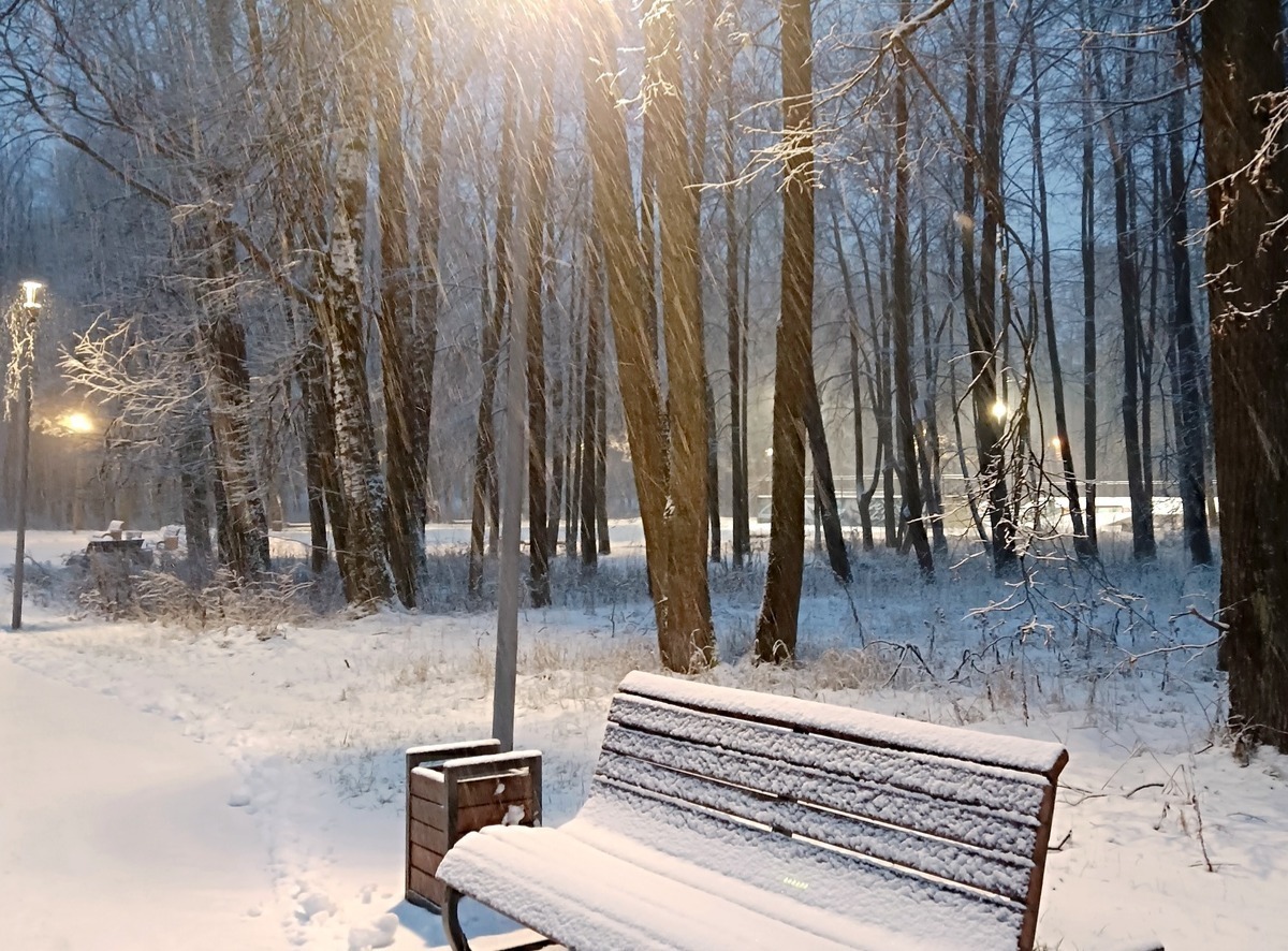 Иллюстрация к публикации