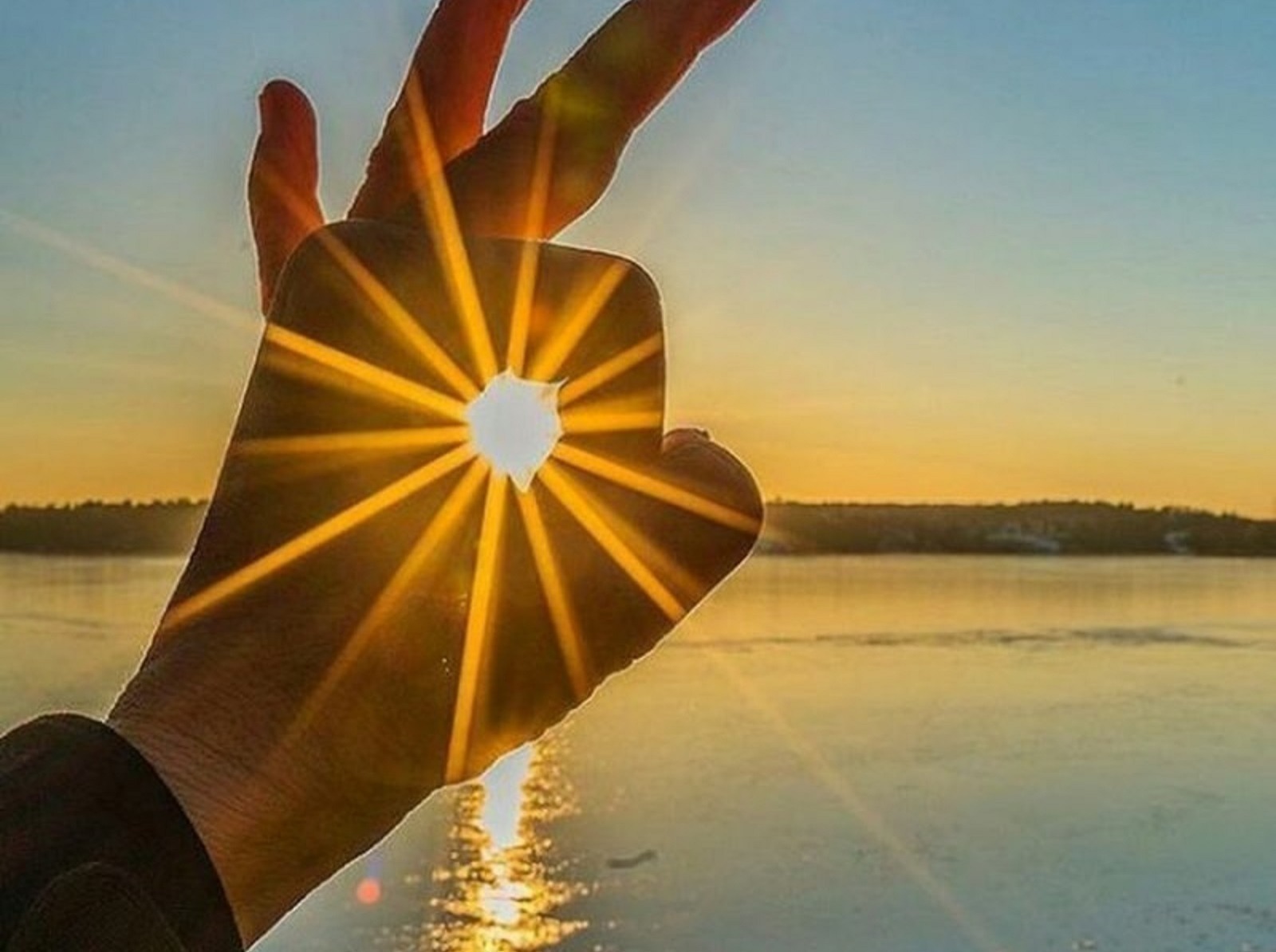 Иллюстрация к публикации