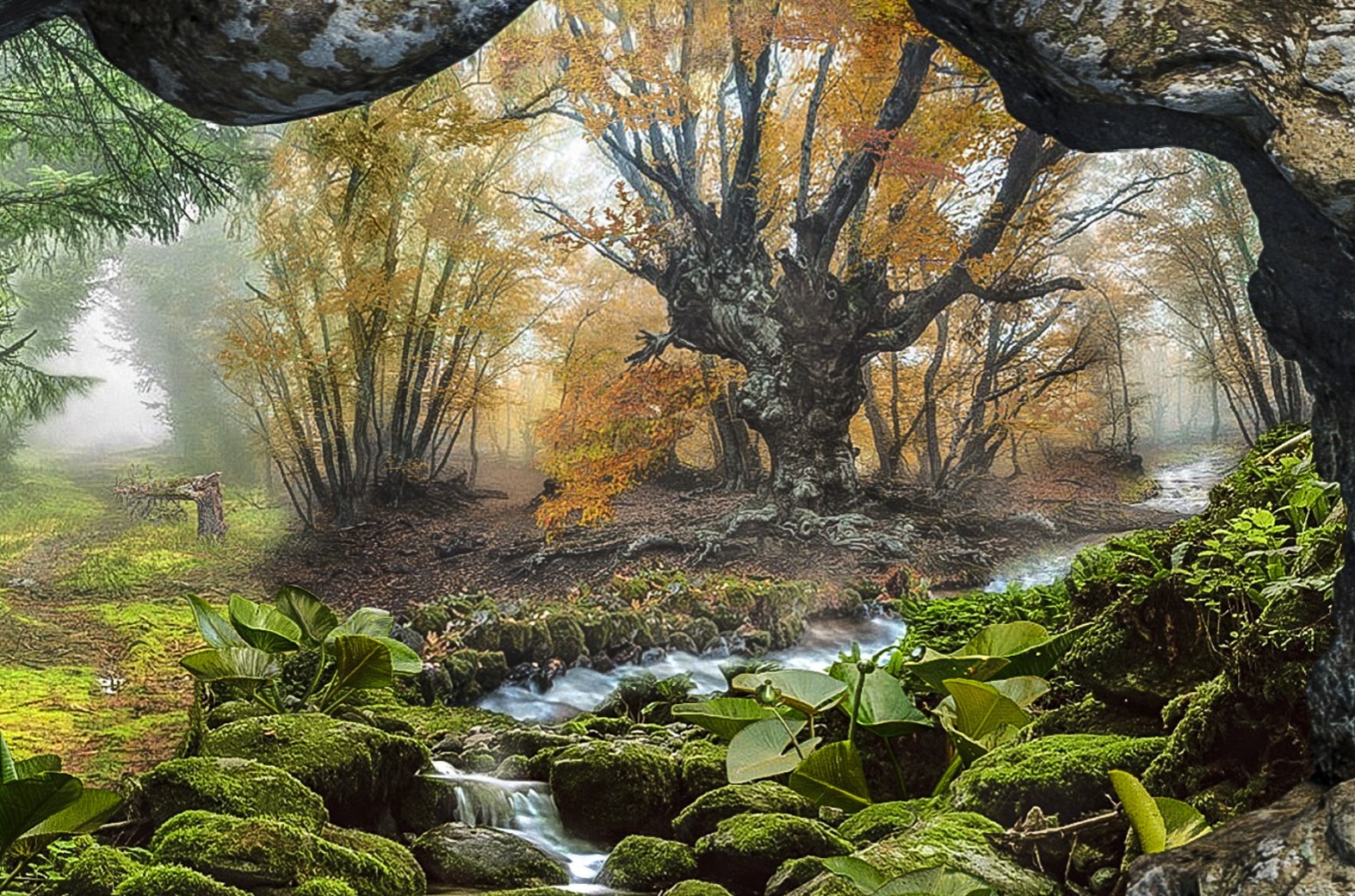 Иллюстрация к публикации