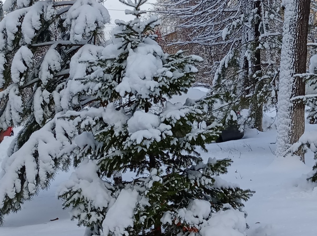Иллюстрация к публикации