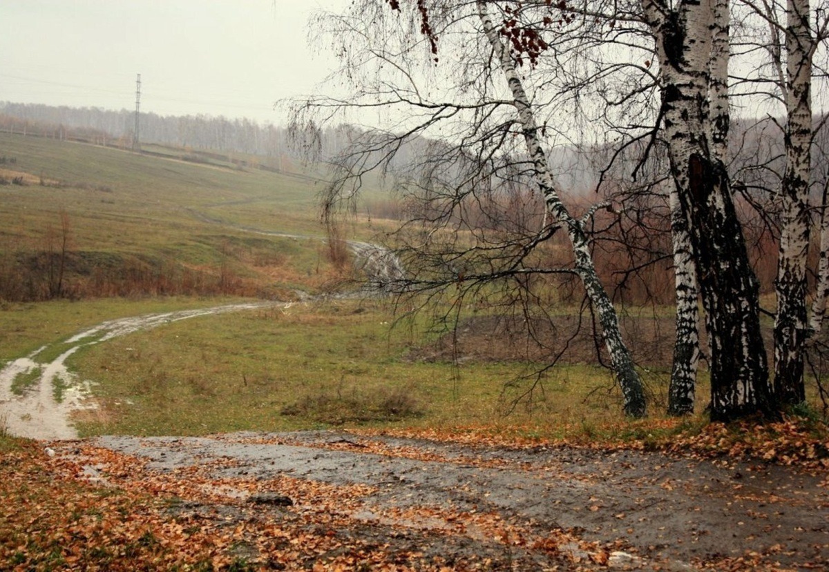 Иллюстрация к публикации