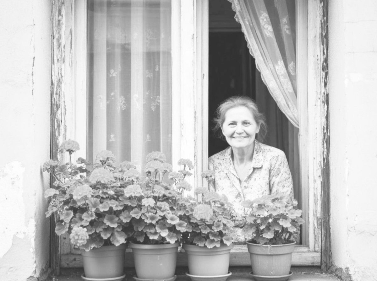 Иллюстрация к публикации