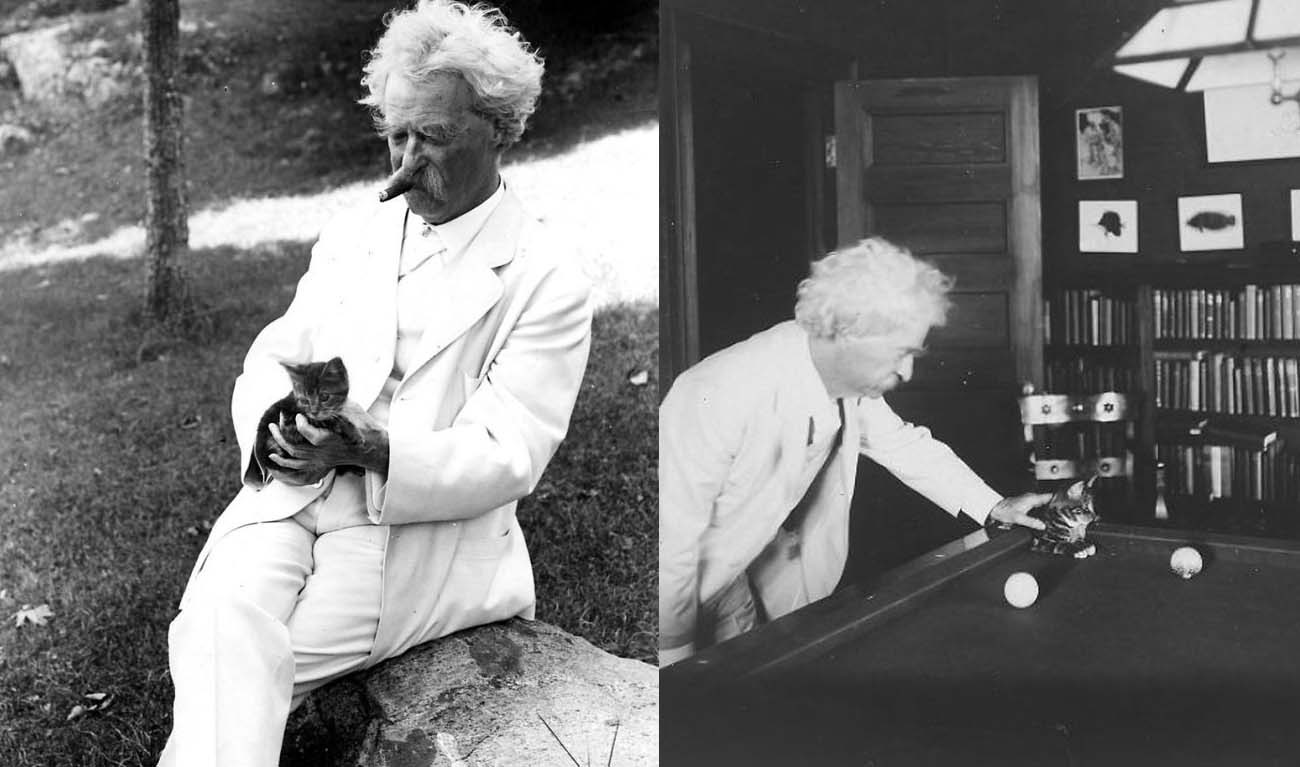 Иллюстрация к публикации