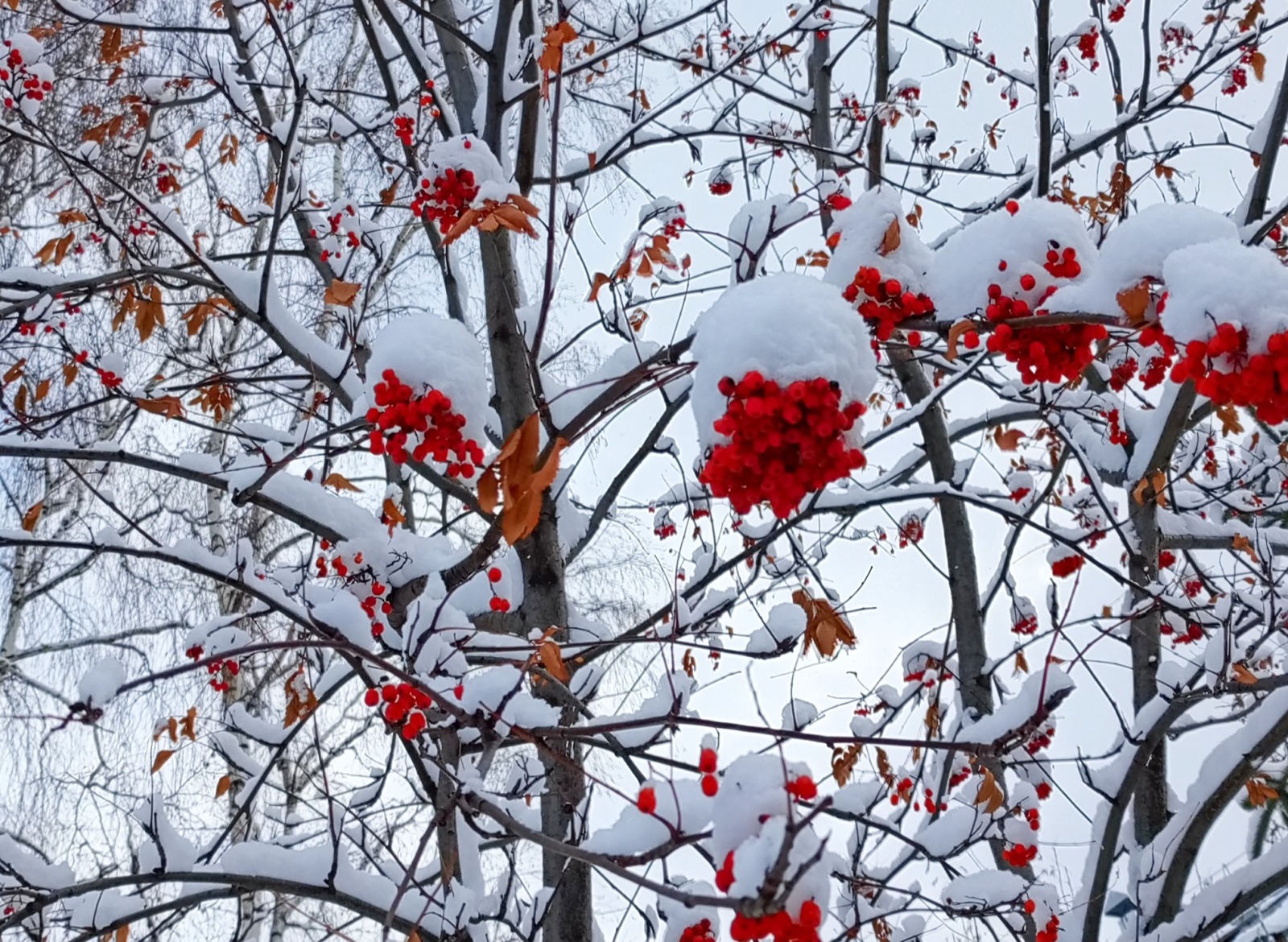 Иллюстрация к публикации