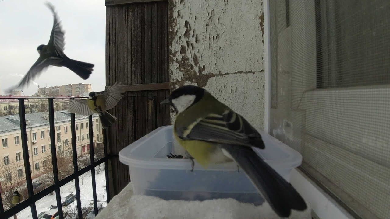 Иллюстрация к публикации