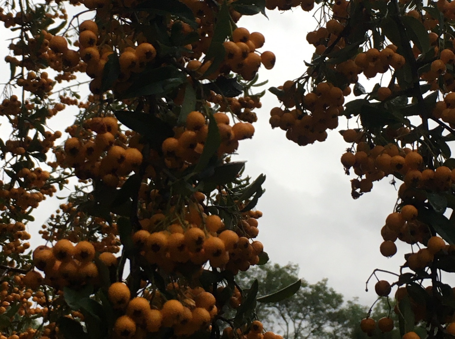 Иллюстрация к публикации