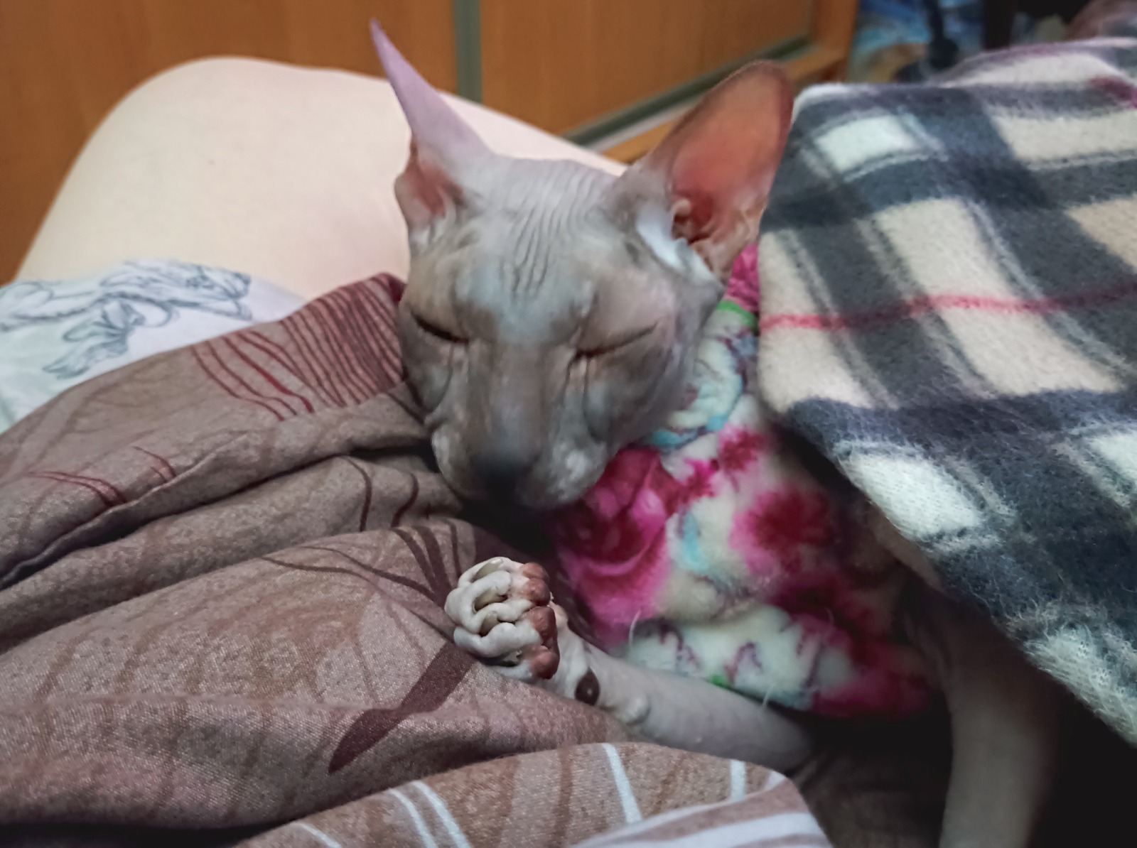 Иллюстрация к публикации