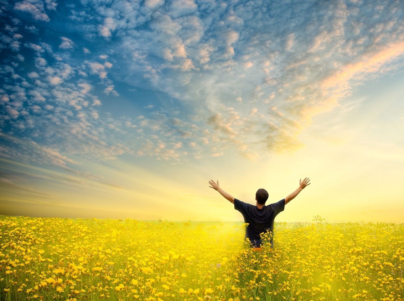 Иллюстрация к публикации