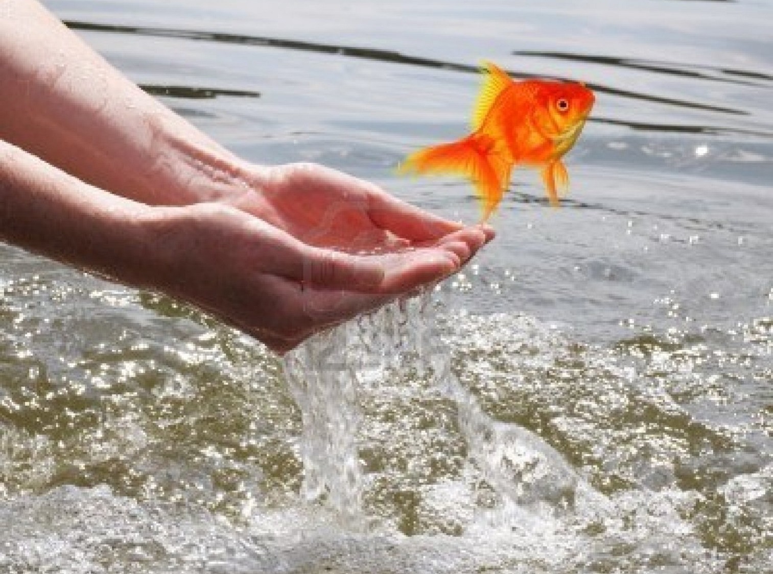 Иллюстрация к публикации