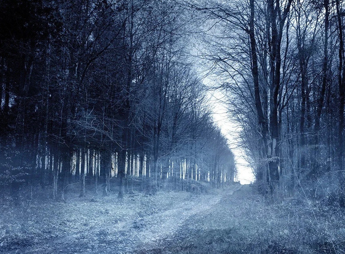 Иллюстрация к публикации