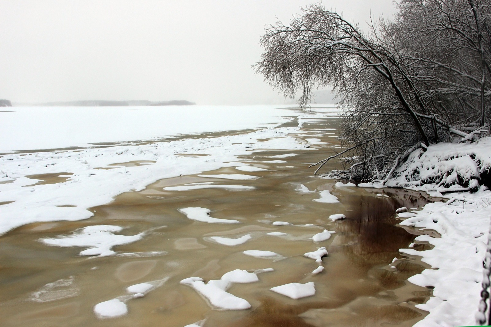 Иллюстрация к публикации