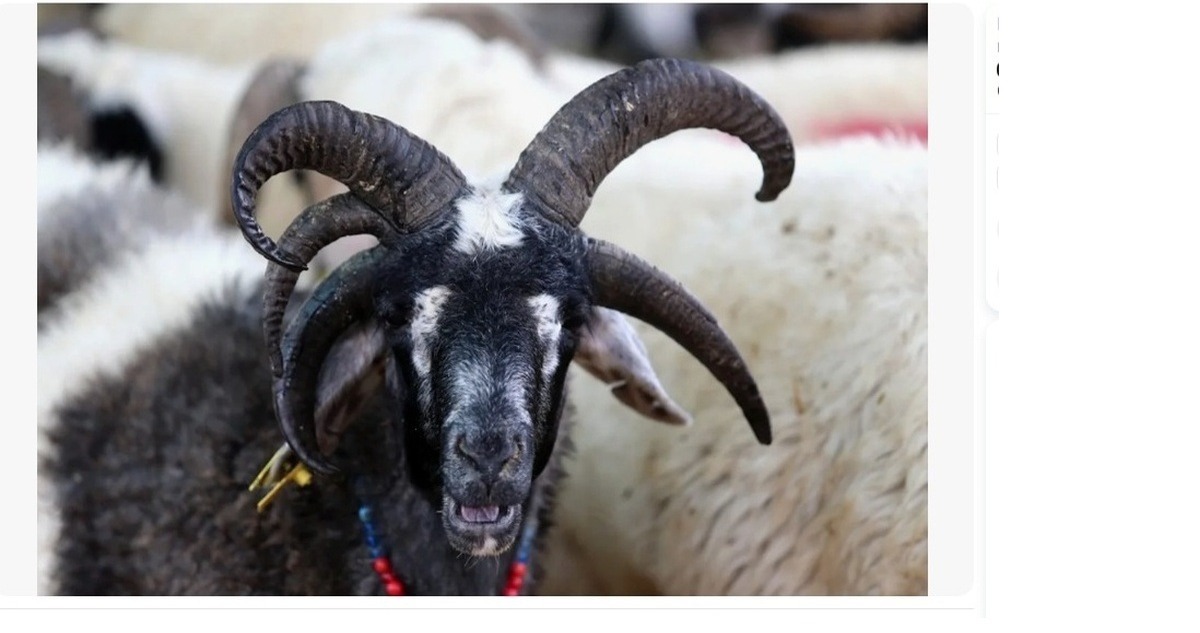 Иллюстрация к публикации