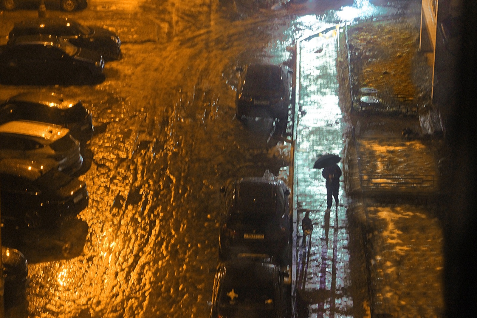 Иллюстрация к публикации